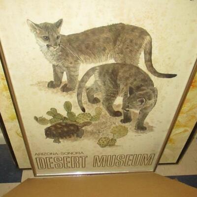 Desert Museum Poster 