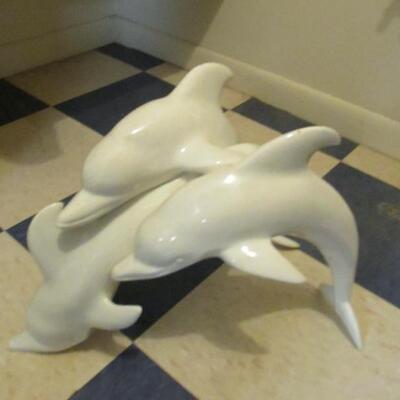 Dolphins  