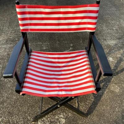 Fun Director's Chair