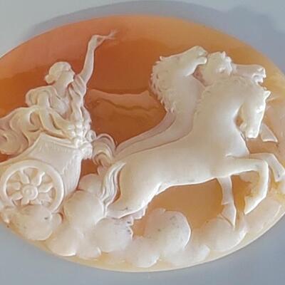 Loose Shell Cameo, Total Weight is 8.49 grams