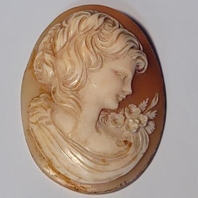 Cameo: Loose Shell Total Weight 10.87 grams