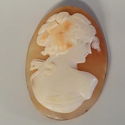 Loose Cameo on Shell, Total Weight is 8.52 grams