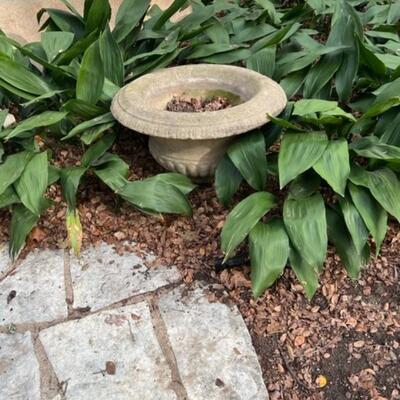 Cement Planter