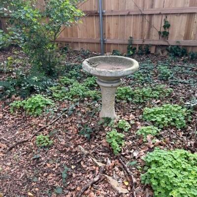 Cement Bird Bath