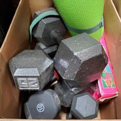 #4608 â€¢ Weights, Yoga Mat, And Work Out Kit