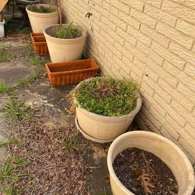 Miscellaneous outdoor pots