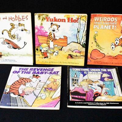 5 Calvin & Hobbes Books by Bill Watterson