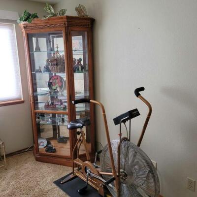 Herman Miller Lighted Glass Shelf & Schwinn Air Dyne