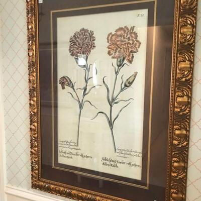 Large Framed Antique Botanical Flower Book Plate 