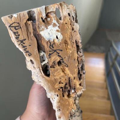 Drift wood stand for birds