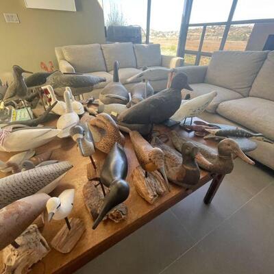 Wood duck and bird collection