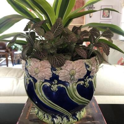 Figural Flower Planter Pot with 2 Live Plants