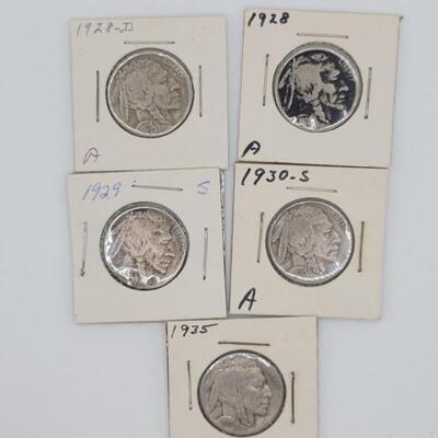 (5) Buffalo Nickels