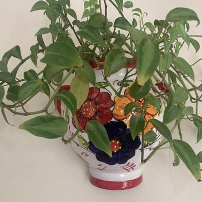 Glazed Ceramic Wall Mounted Vase with a Live Plant
