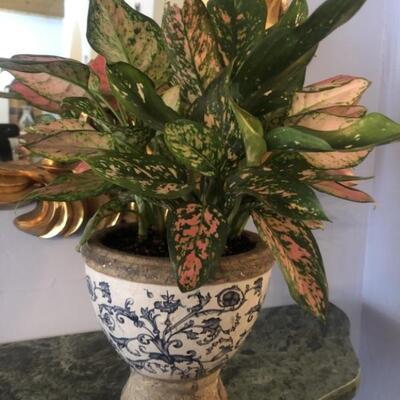 Clay Pottery Asian Blue & White Floral Planter