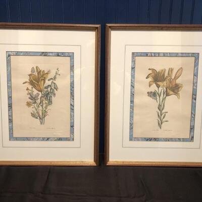 Pair Edizioni Ponte Vecchio Florence Hand Colored Botanical Art Prints
Two relief stamps below images of both prints show the fleur de...