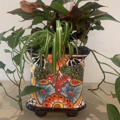 Bright & Cheery Glazed Ceramic Floral Planter with Live Plants