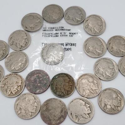 1906 Liberty V Nickel + 20 Buffalo Nickels