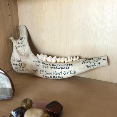 elk jaw