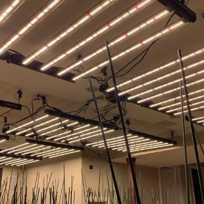 Growers Choice ROI-E720 LED Lights