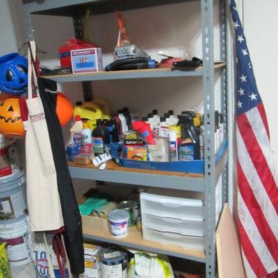 LOT'S OF AFFORDABLE CHEMICALS AND GARAGE SHELVING