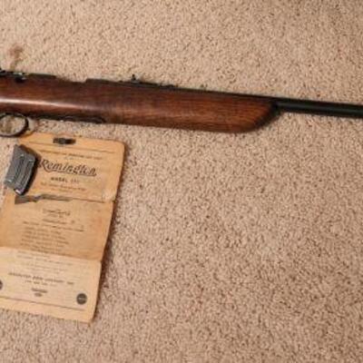 Remington 511-P .22