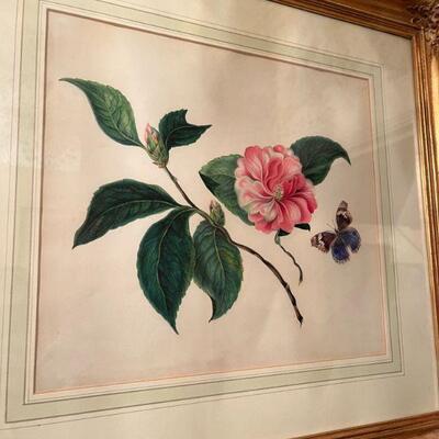 Botanic Watercolor