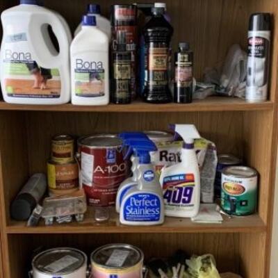 Pesticides, Cleaning Supplies, & Paint, etc