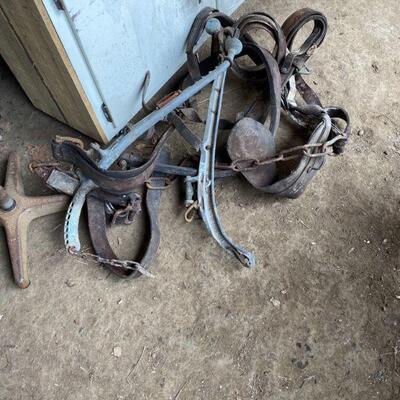 Old Horse Harness Gear 