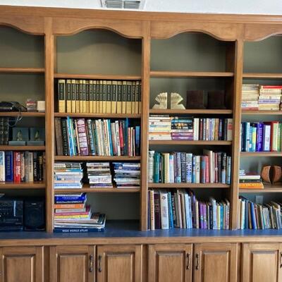   Book Shelves â€¢ (vignette) 