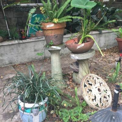 Concrete stands and pots, plants, outdoor stuff