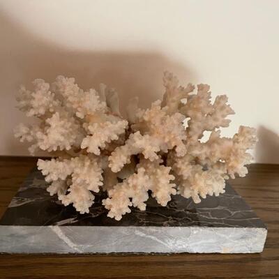 Coral