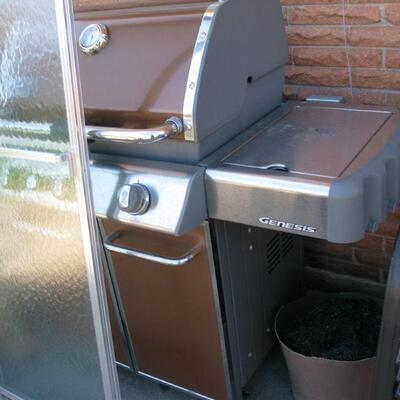 Weber Genesis grill