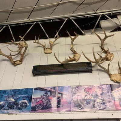 Deer racks 