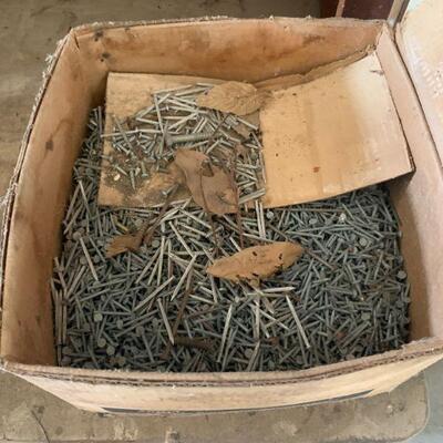 Lots of galvanized nails