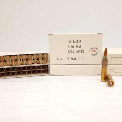 #934 â€¢ 200 Rounds of 5.56mm Ammo
