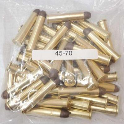 #914 â€¢ NEW! Approx 30 Rounds of 45-70
