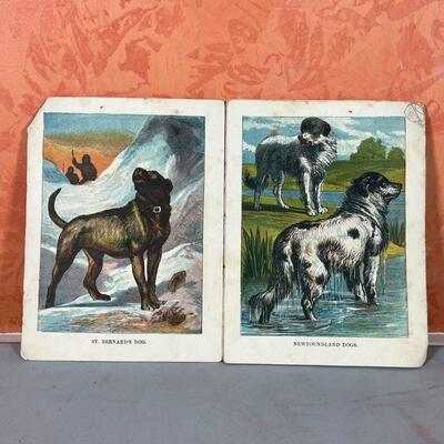 FOLIO of DOG ENGRAVINGS | Bound in linen, color engravings of dogs; overall 9-1/2 x 7-1/4 in.