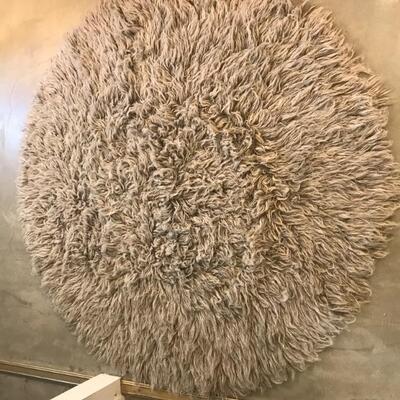 Shag rug.  .  NOT available for pre sale.  We are unable to give prices on items under $100.  These items may only be purchased at the sale 