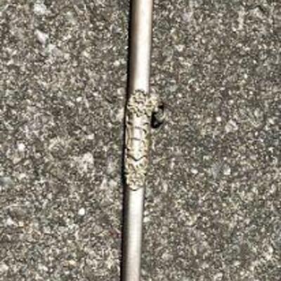 Knights of Pythias Fraternal Sword