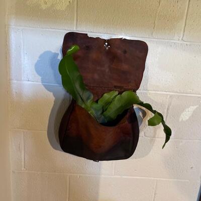 Live staghorn fern In antique leather saddlebag
