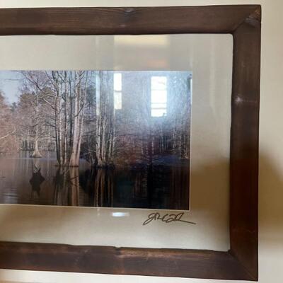 Signed photo of Great Dismal Swamp