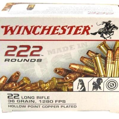 Unopen box 222 Rounds .22 LR. Plus other lots of ammo.