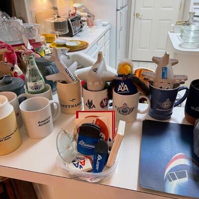 American Airlines items