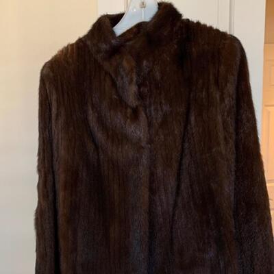KO slows Mink Approximately Size 8-10
