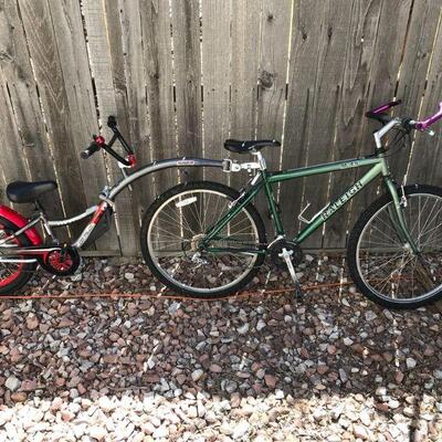 Parent and Child Dual Bike