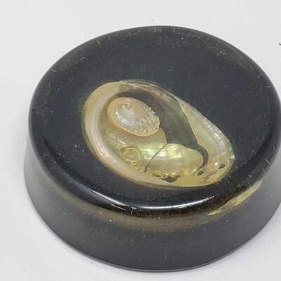 #1914 â€¢ Abalone Paperweight