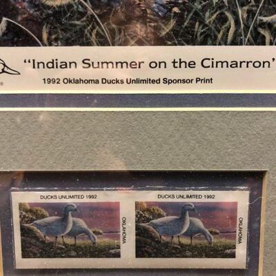 Rare Ducks Unlimited Stamps