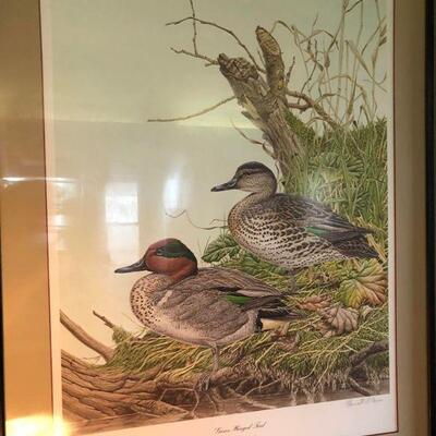 Ducks Unlimited - Signed/Numbered