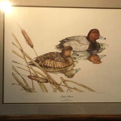 Ducks Unlimited - Signed/Numbered